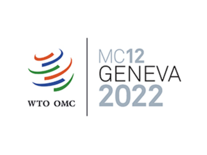 Logo displaying the 12th Ministerial Conference of the World Trade Organisation in Geneva